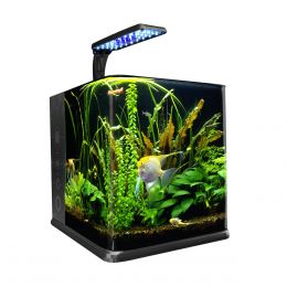 Acuario Nano Cubo De 18 Lt Acuario Lomas