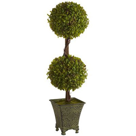 Doble Topiary en Caja Madera