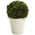 Globe Topiary en Caja de Madera Pier 1 Imports