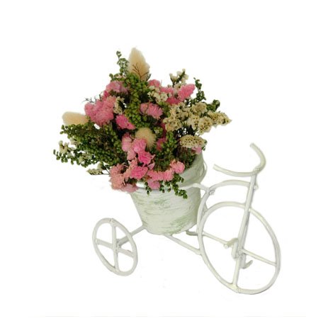 Flores Deshidratadas en Maceta sobre Bici Mini de