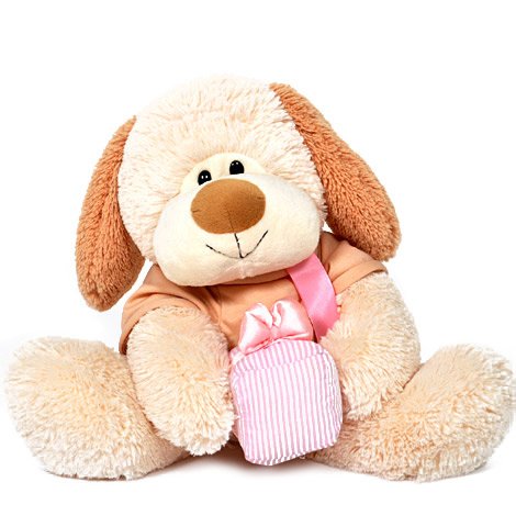 Peluche Perro Regalo