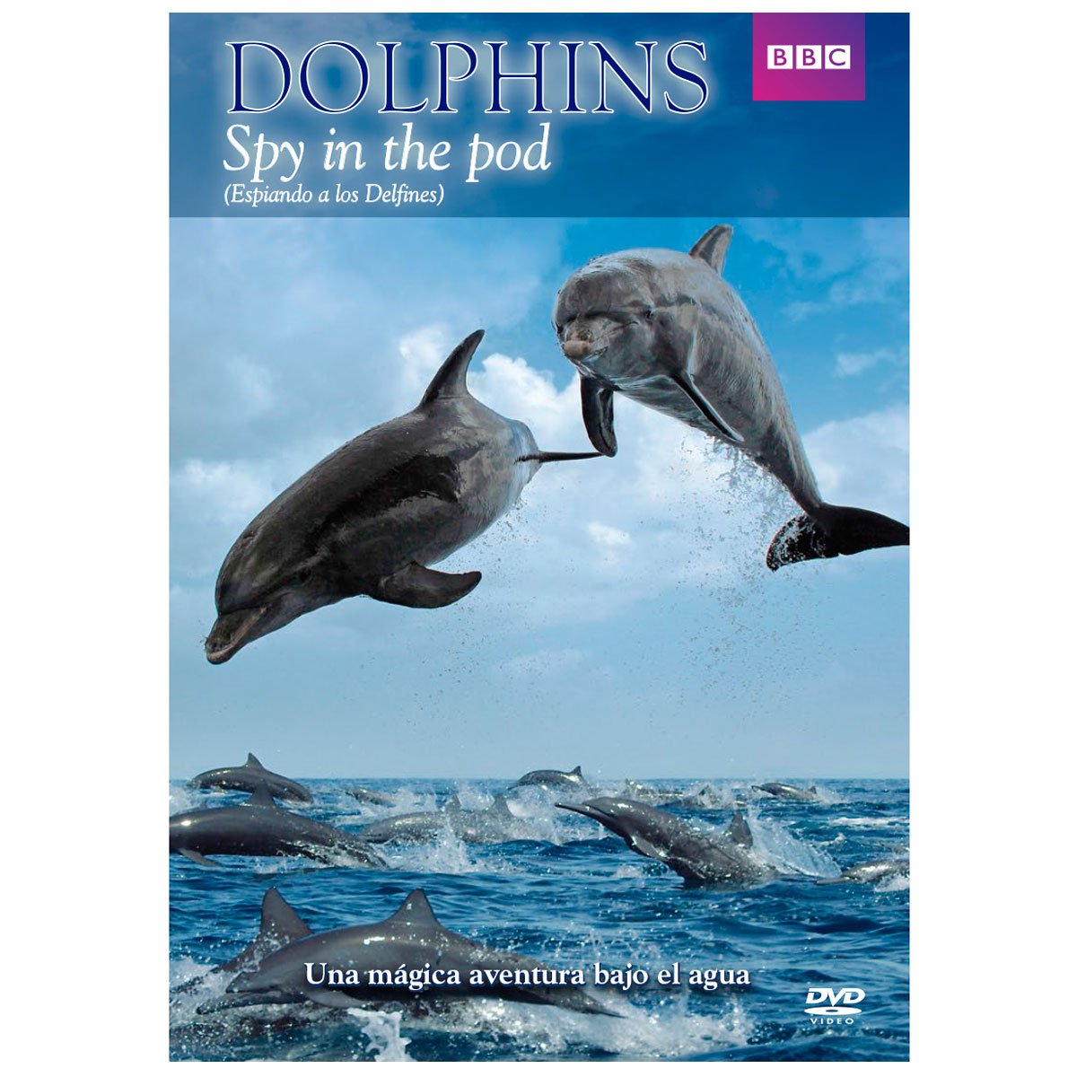 Espiando a los Delfines