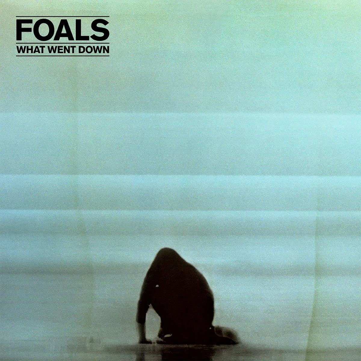 Cd + Dvd Foals What Went Down