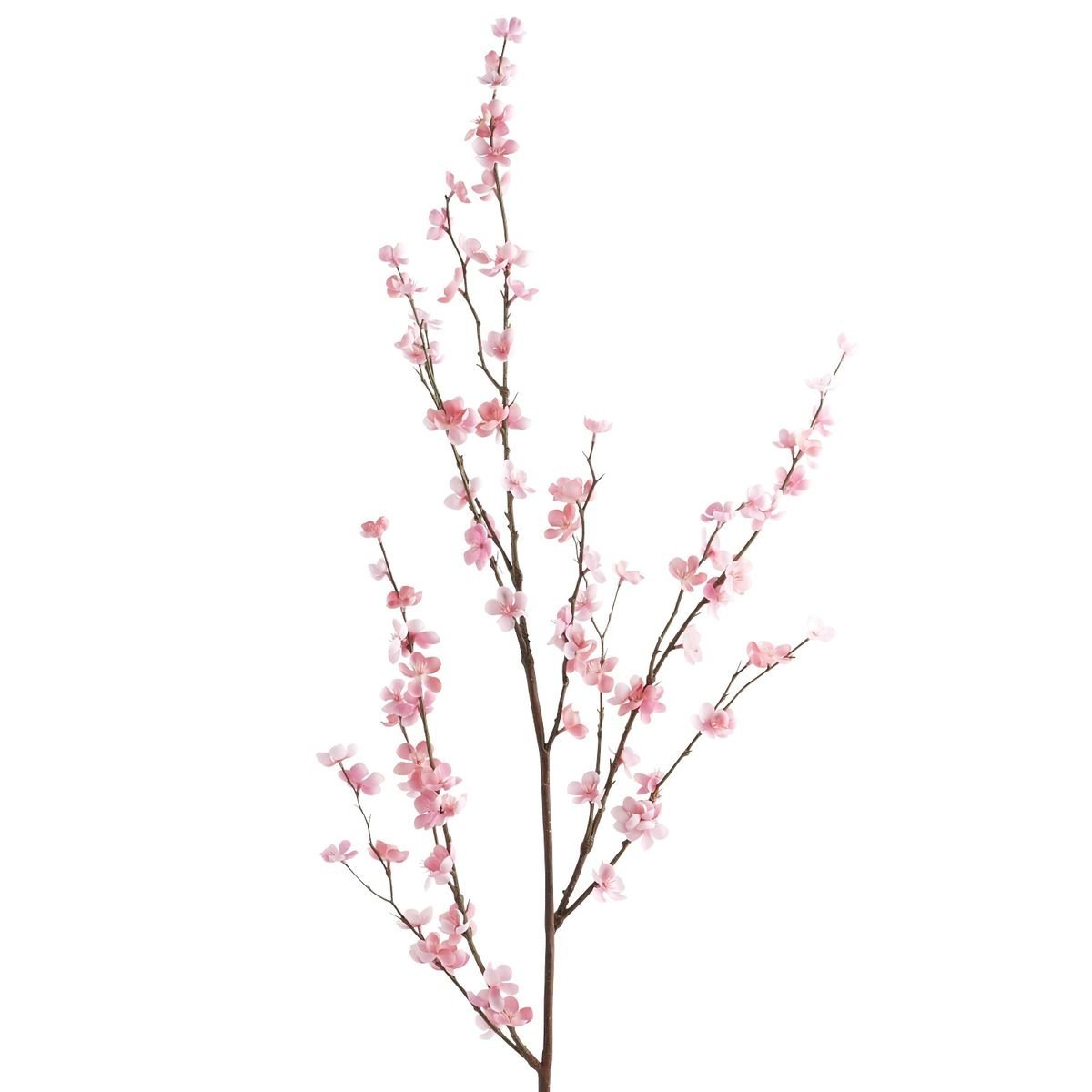 Vara Decorativa Cherry Blossom Pink Pier 1 Imports