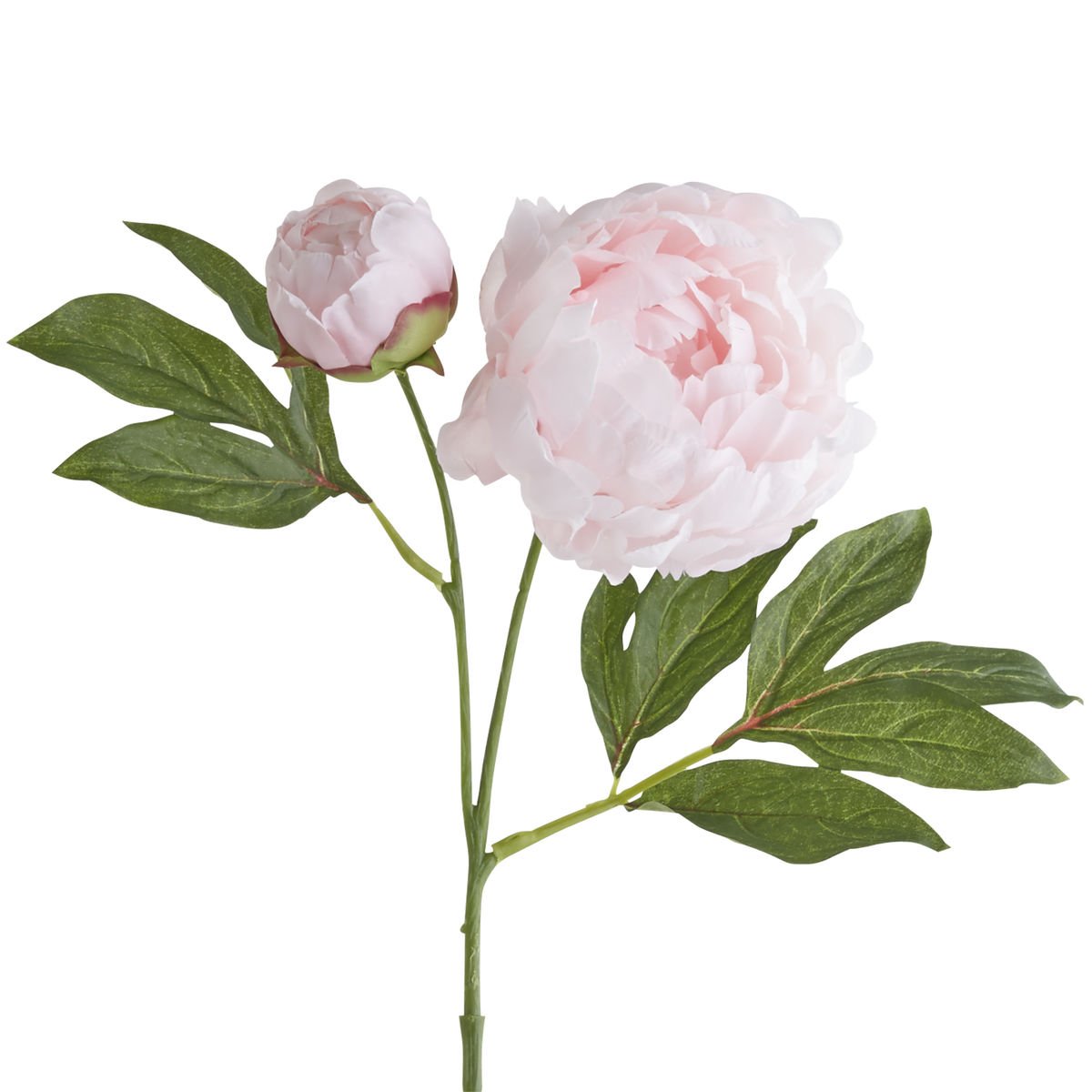 Vara Decorativa Peony Blush Pier 1 Imports