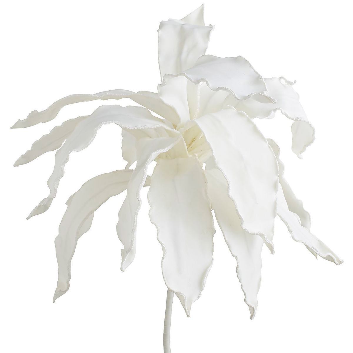 Vara Decorativa Flor Foam Blanca Pier 1 Imports