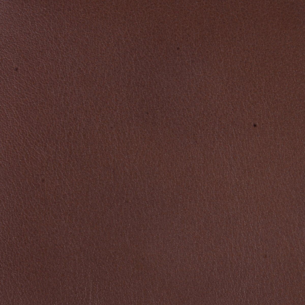 Cartera Casual Hickok
