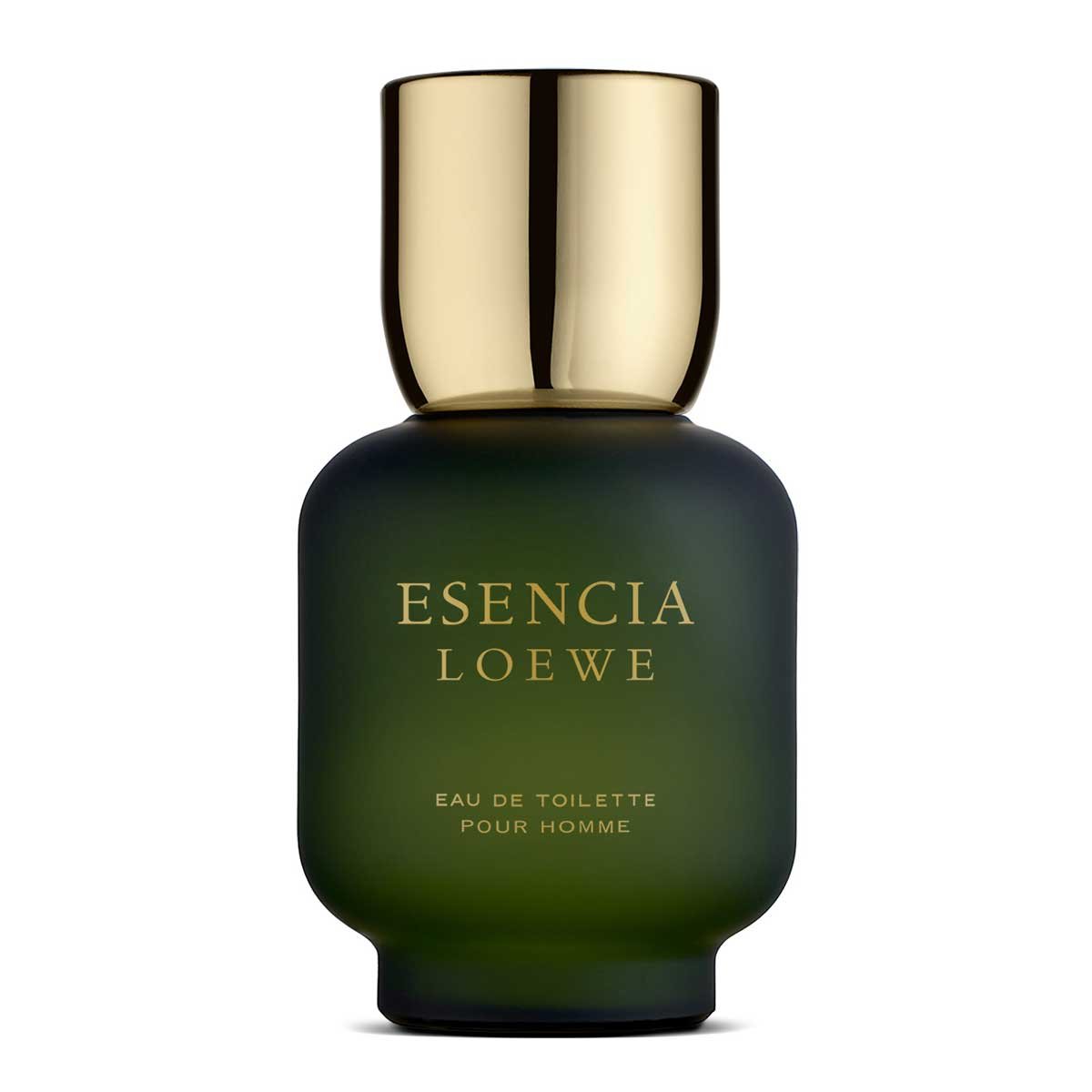 Fragancia Caballero Escencia  de Loewe  (100 Ml)Edt