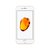 Celular Iphone 7 Plus Color Gold 32 Gb R9 (Telcel)