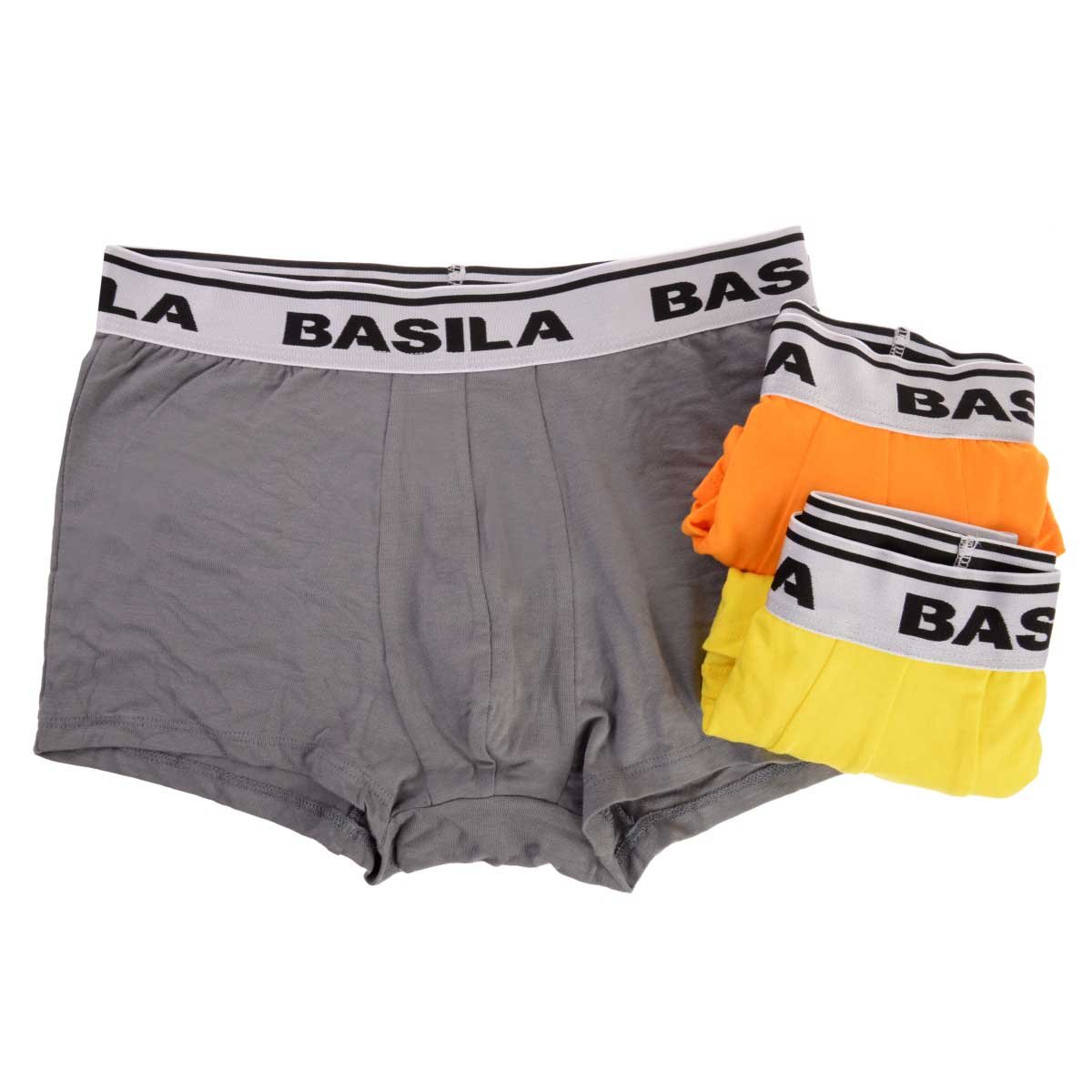 Biker Trunk Basila