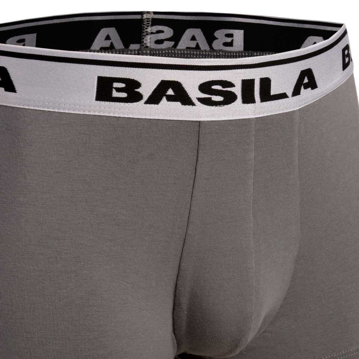 Biker Trunk Basila