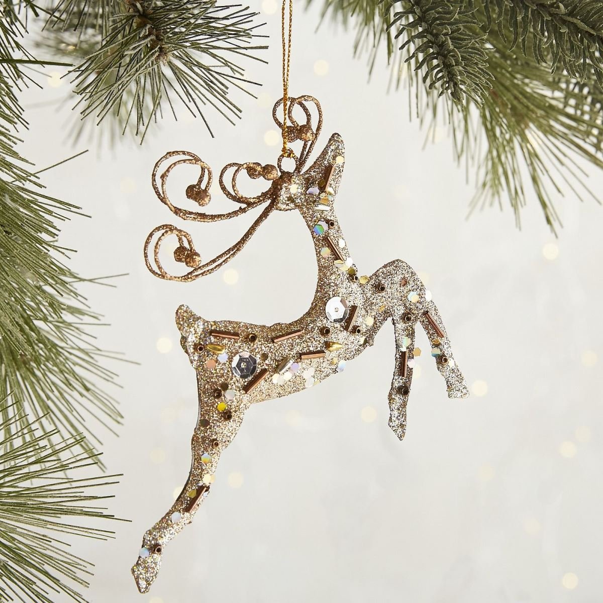 X16 Ormaento Champagne Reno Saltando