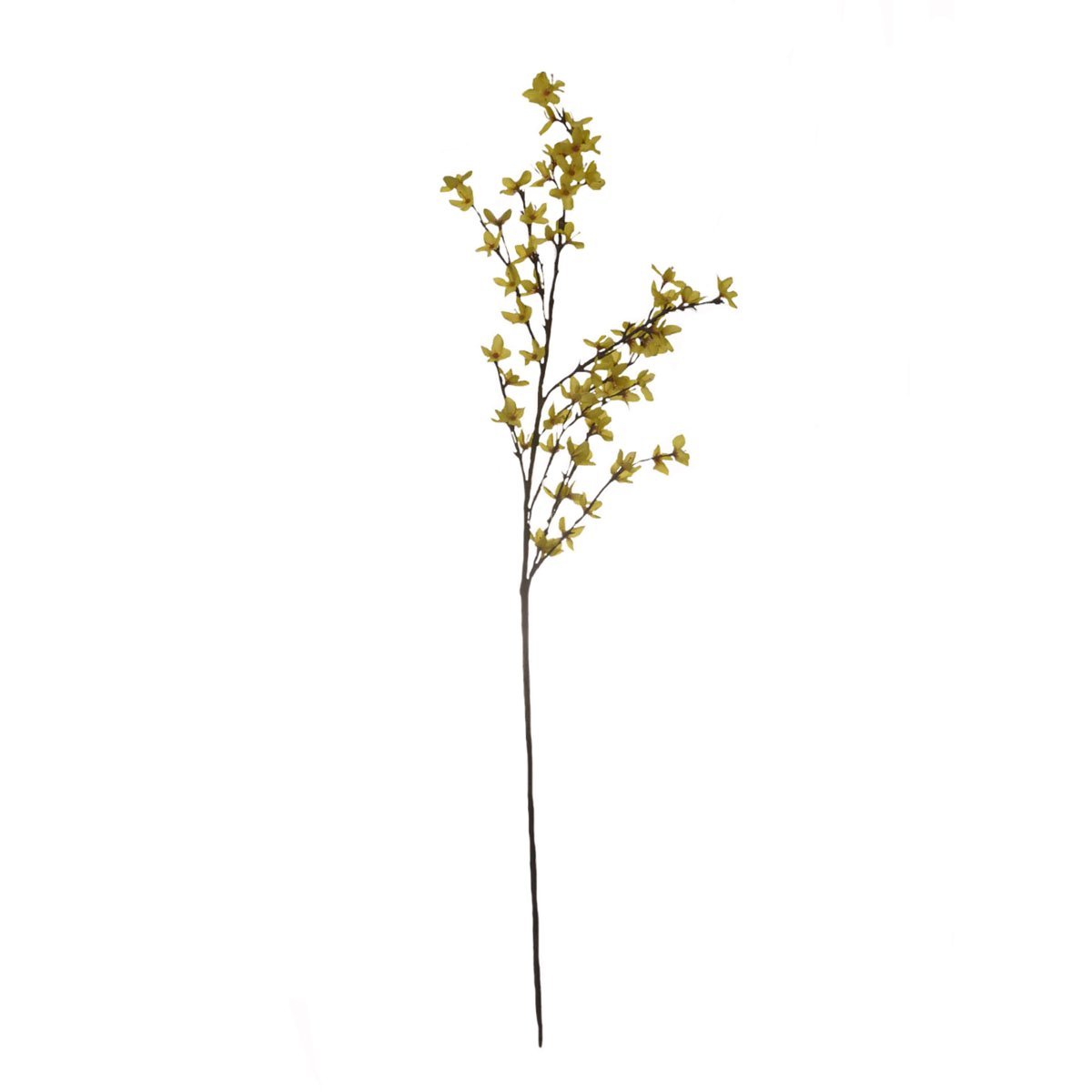 Orquidea Branch Amarilla