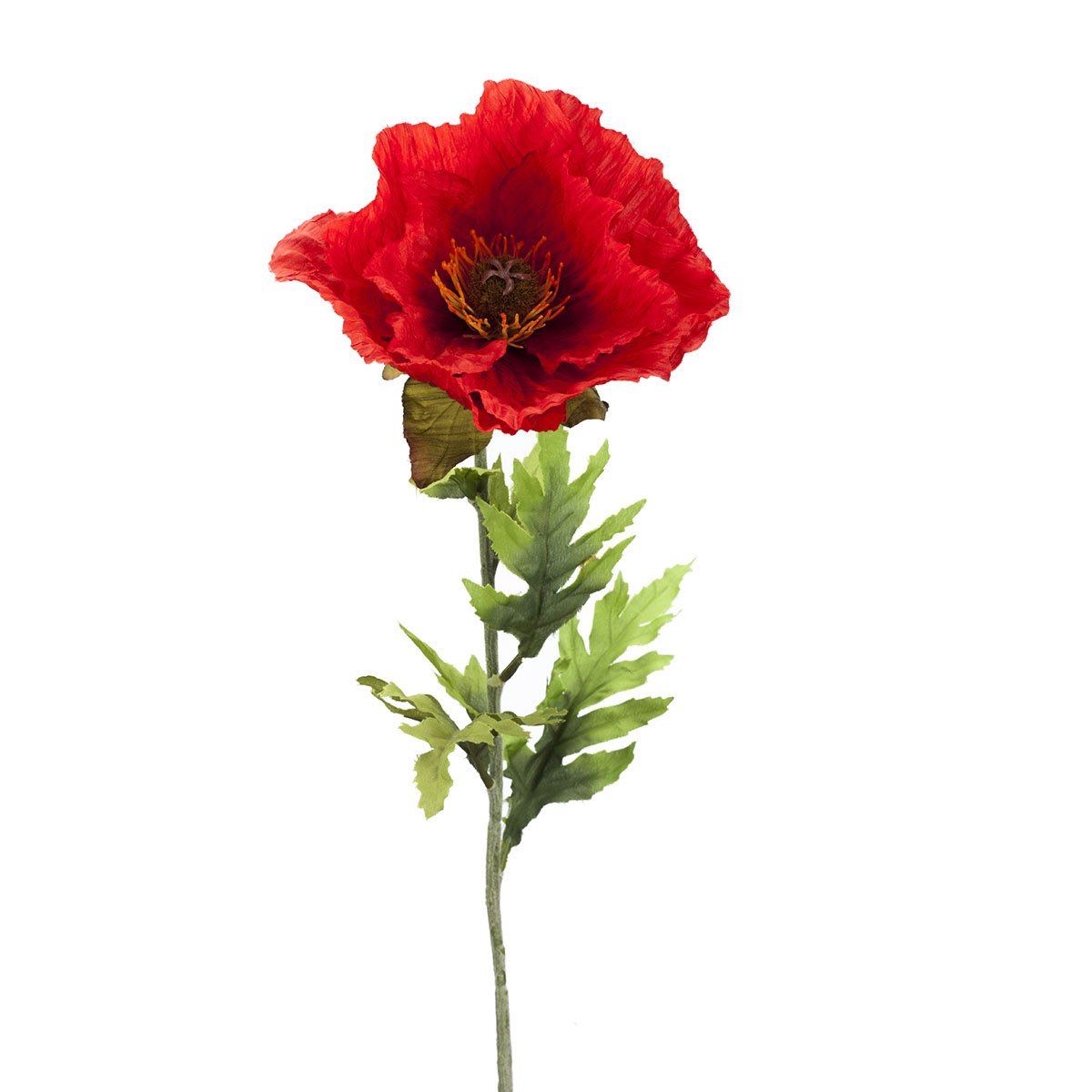 Tallo Amapoya Flor Roja