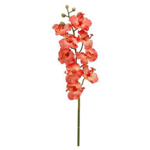 24 Phalaenopsis Orchid Spray Peach Salmon Allstate Floral