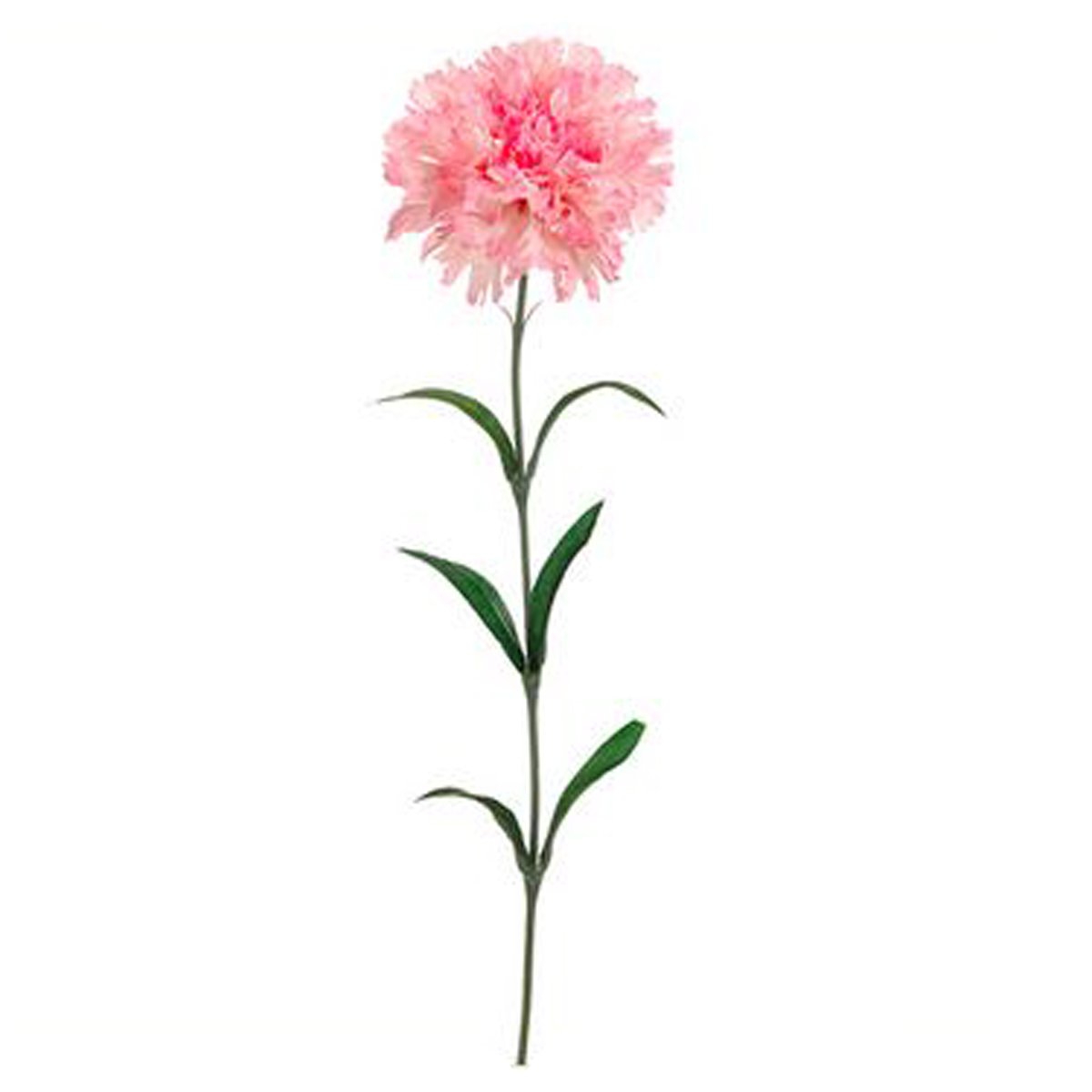 25 Carnation Spray Pink Allstate Floral