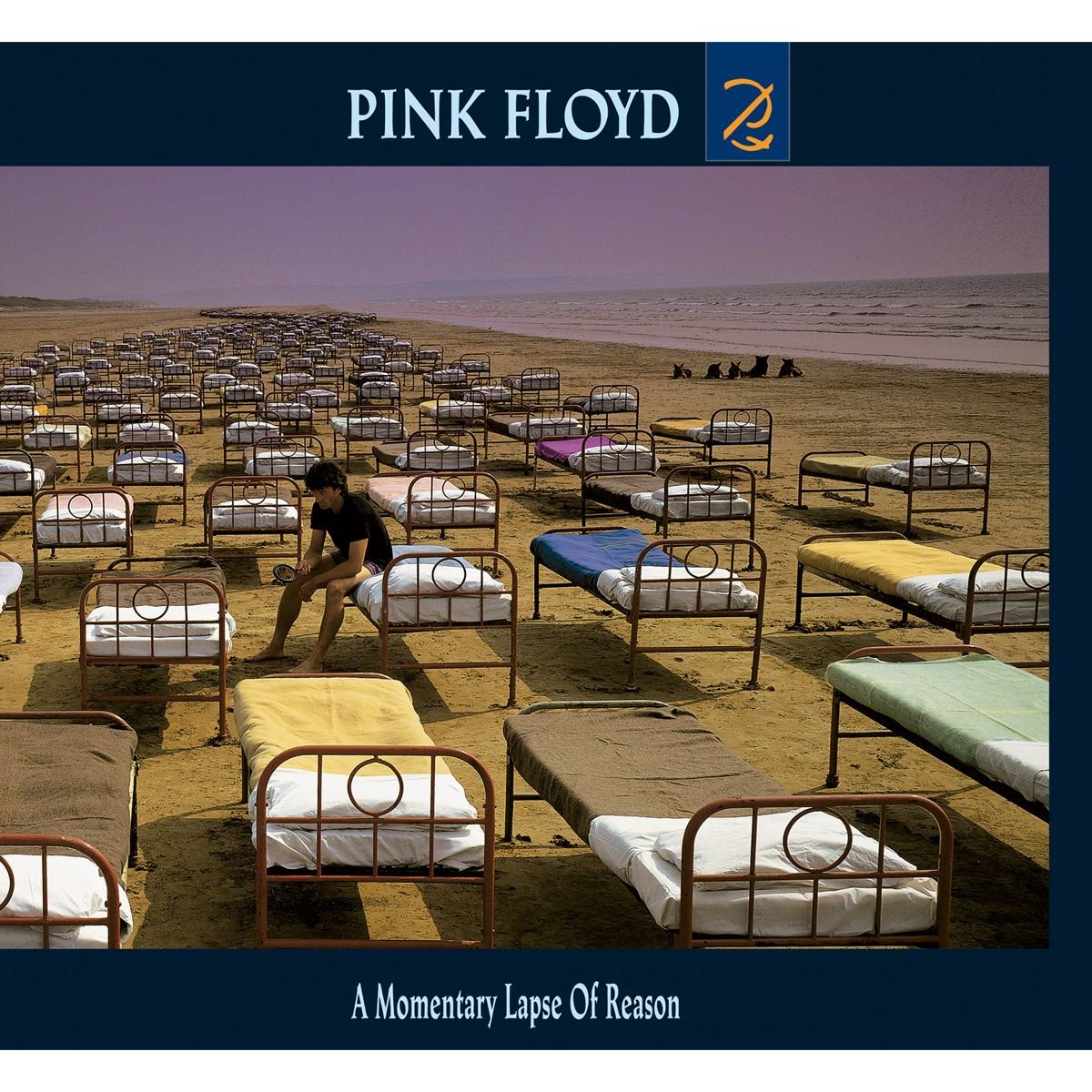 Lp Pink Floyd a Momentary Lapse Of Reason