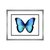 Cuadro Vibrant Butterfly Ii Carre 56 X 45 Cm