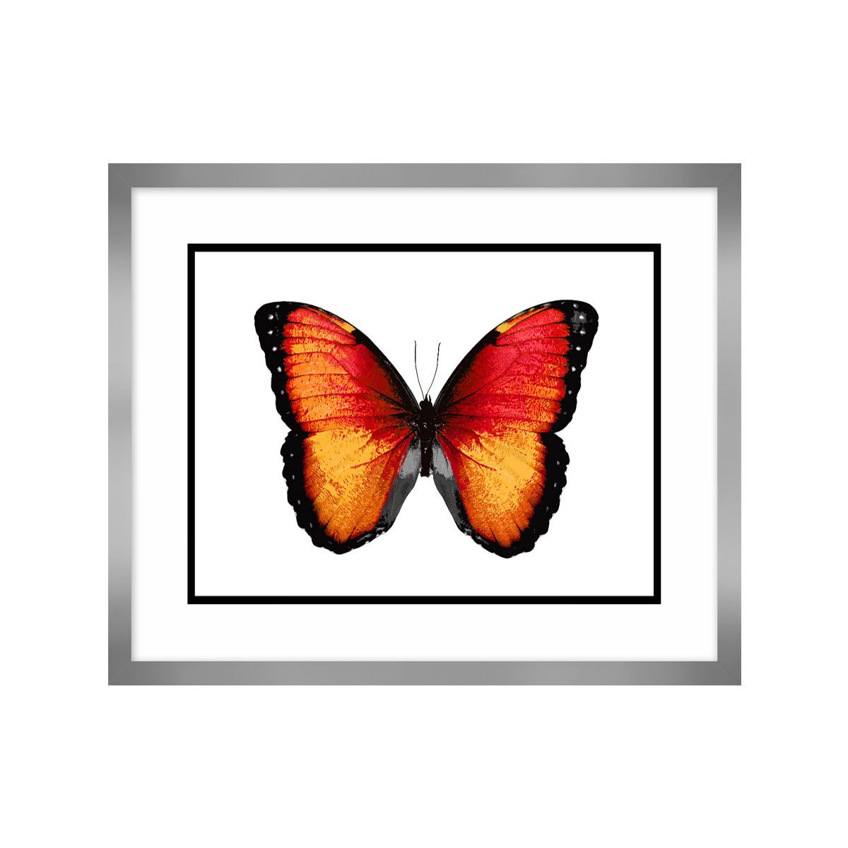 Cuadro Vibrant Butterfly Vi Carre 56 X 45 Cm