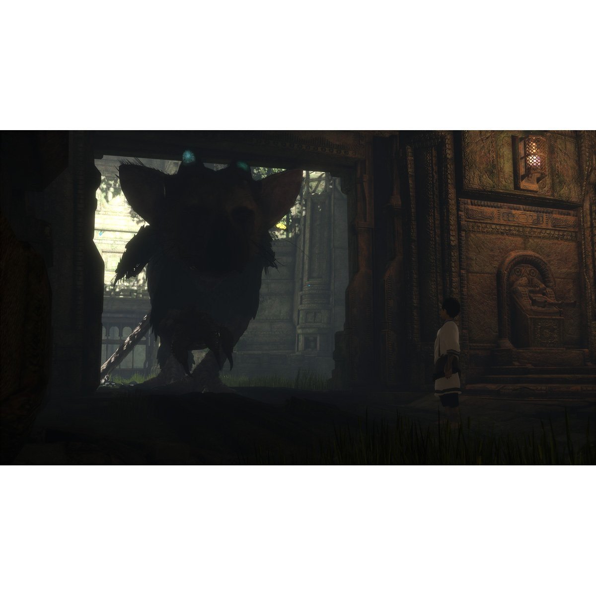 Ps4 The Last Guardian