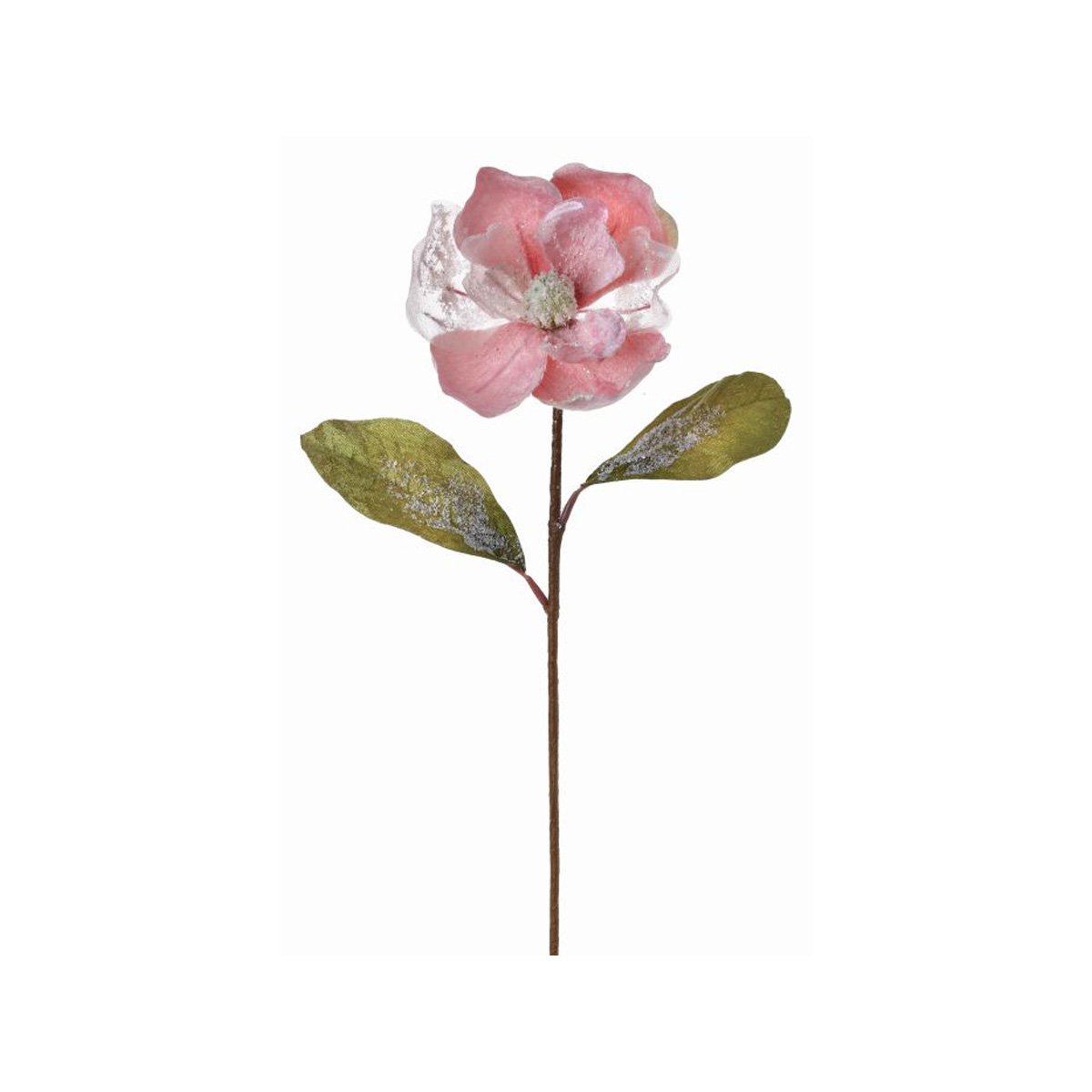 Magnolia Rosa Invernal Escarchada Regency