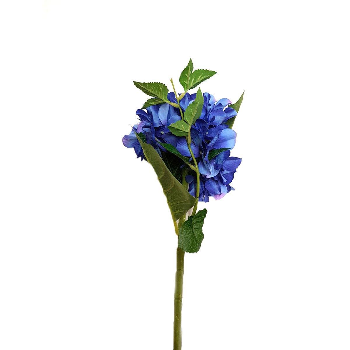 Flor de Hortencia Azul