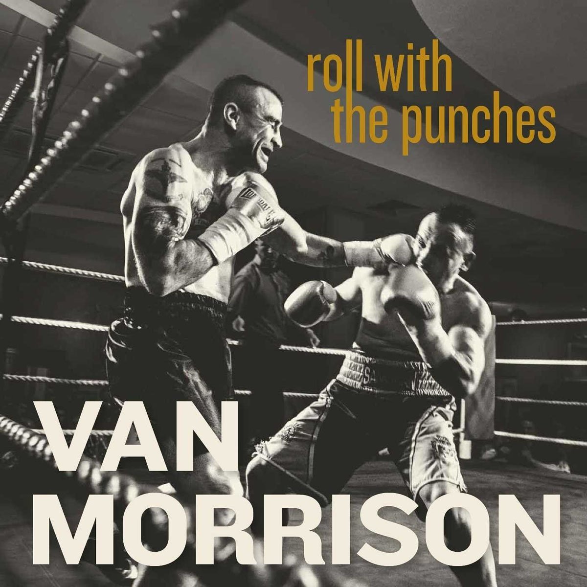 2 Lps Van Morrison Roll With The Punches