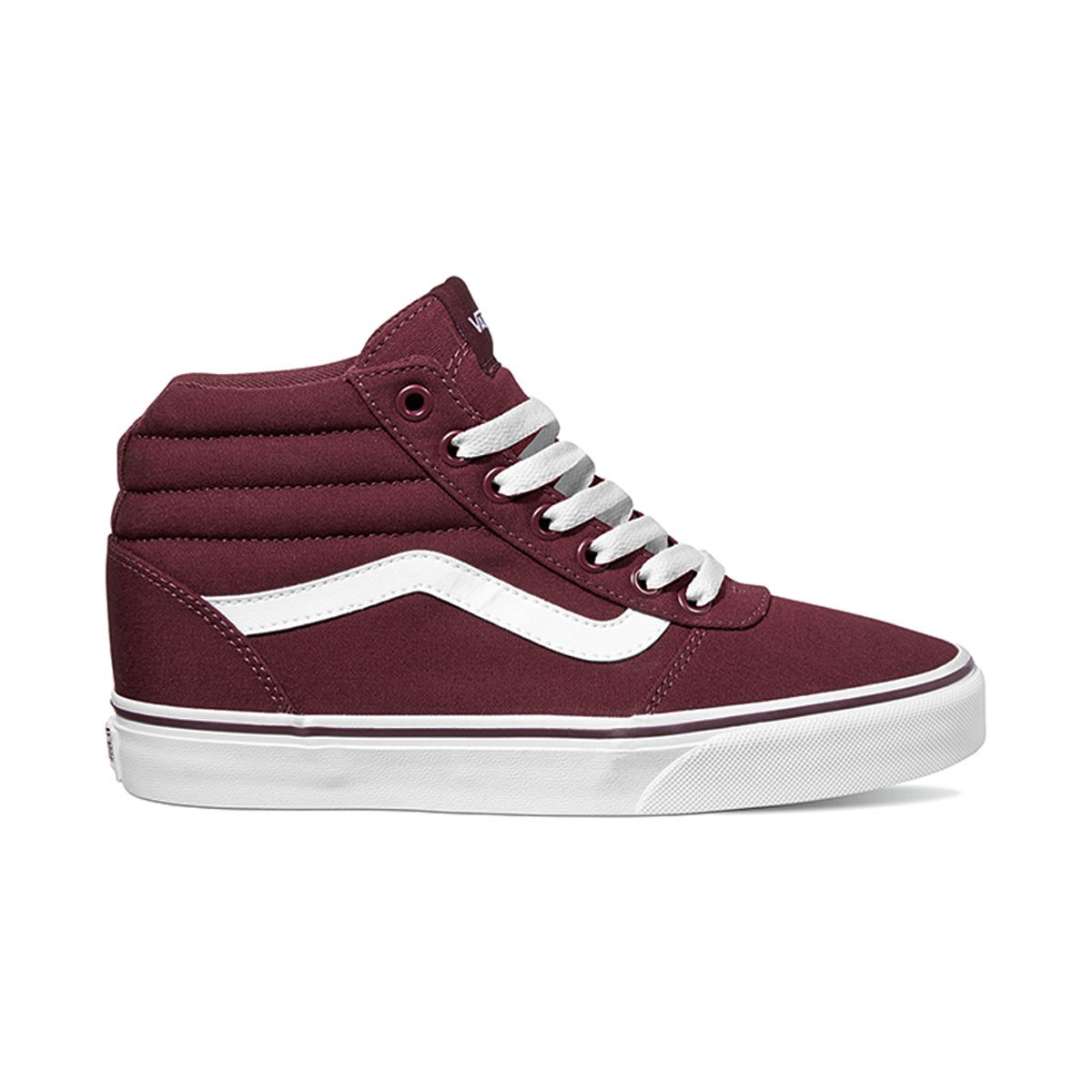 tenis ward canvas vans