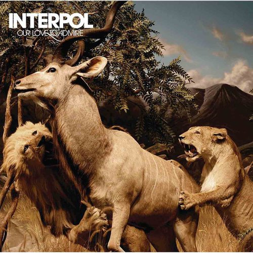 Lp Interpol Our Love To Admire