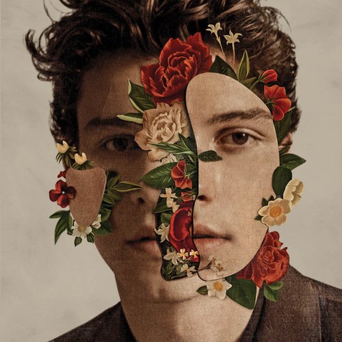 Cd Shawn Mendes Shawn Mendes