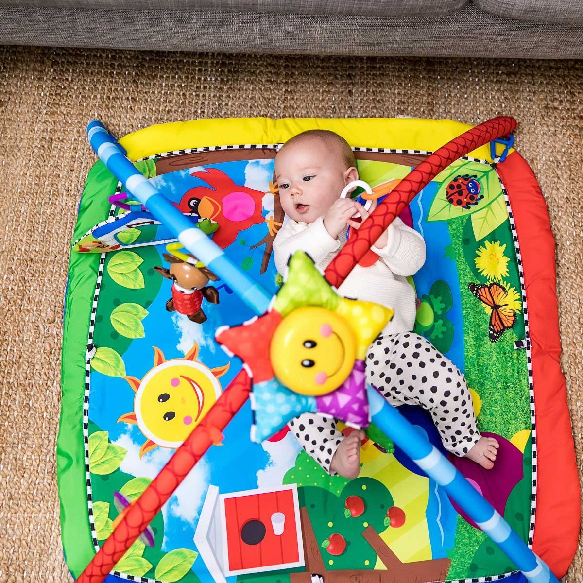 Gimnasio de Oruga y Sus Amigos Baby Einstein
