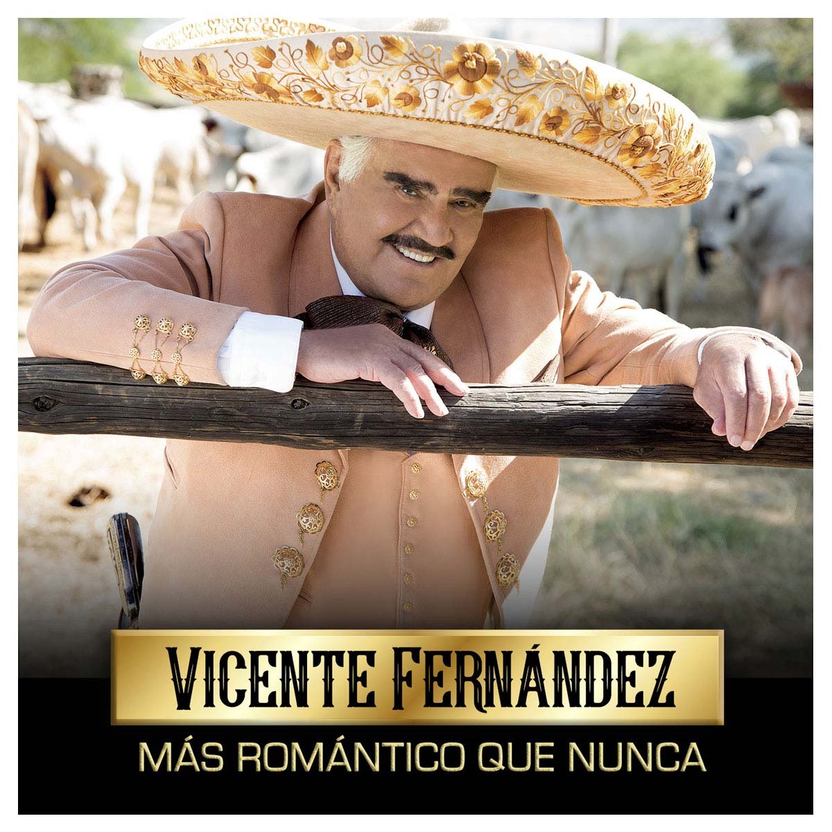 Cd + Dvd Vicente Fernández Más Romántico Que Nunca