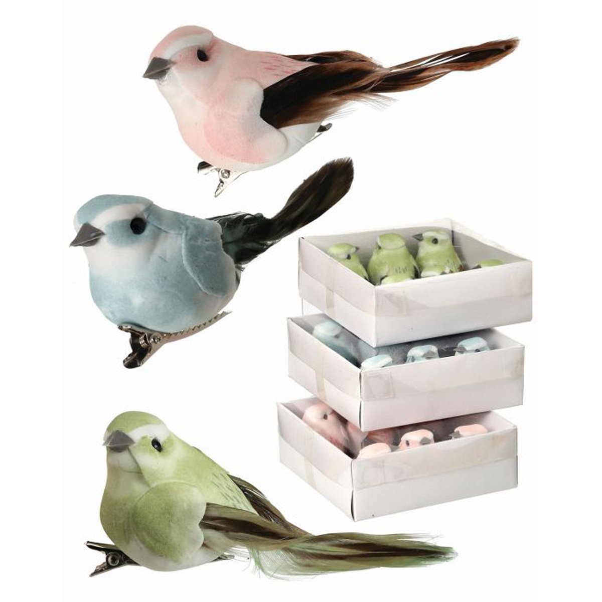 Pajaritos de Colores Regency - 6 Piezas