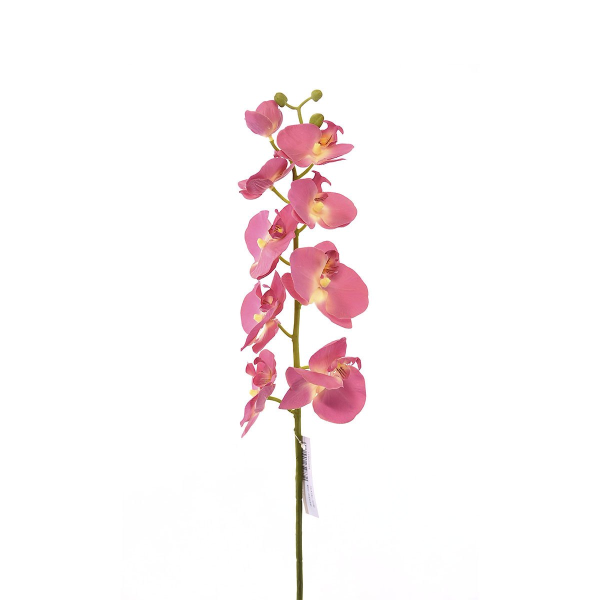 Orquídea Rosa Obscuro 80 Cm Bröch