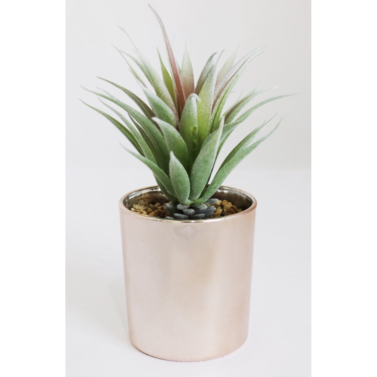 Home Nature Suculenta con Maceta Oro Rosa