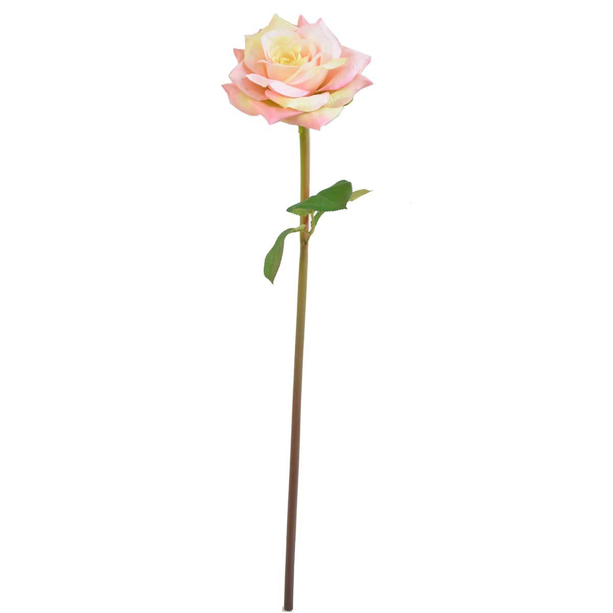 Rosa Artificial Color Rosa Lotus