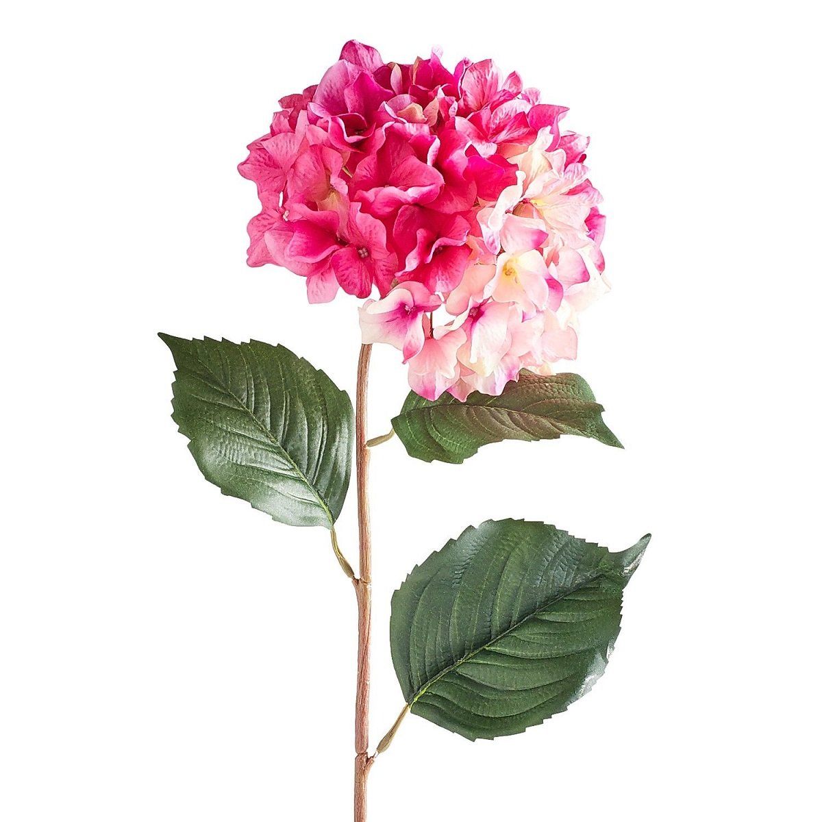 Flor en Tallo Hydrangea  Berry Pink Pier 1 Imports