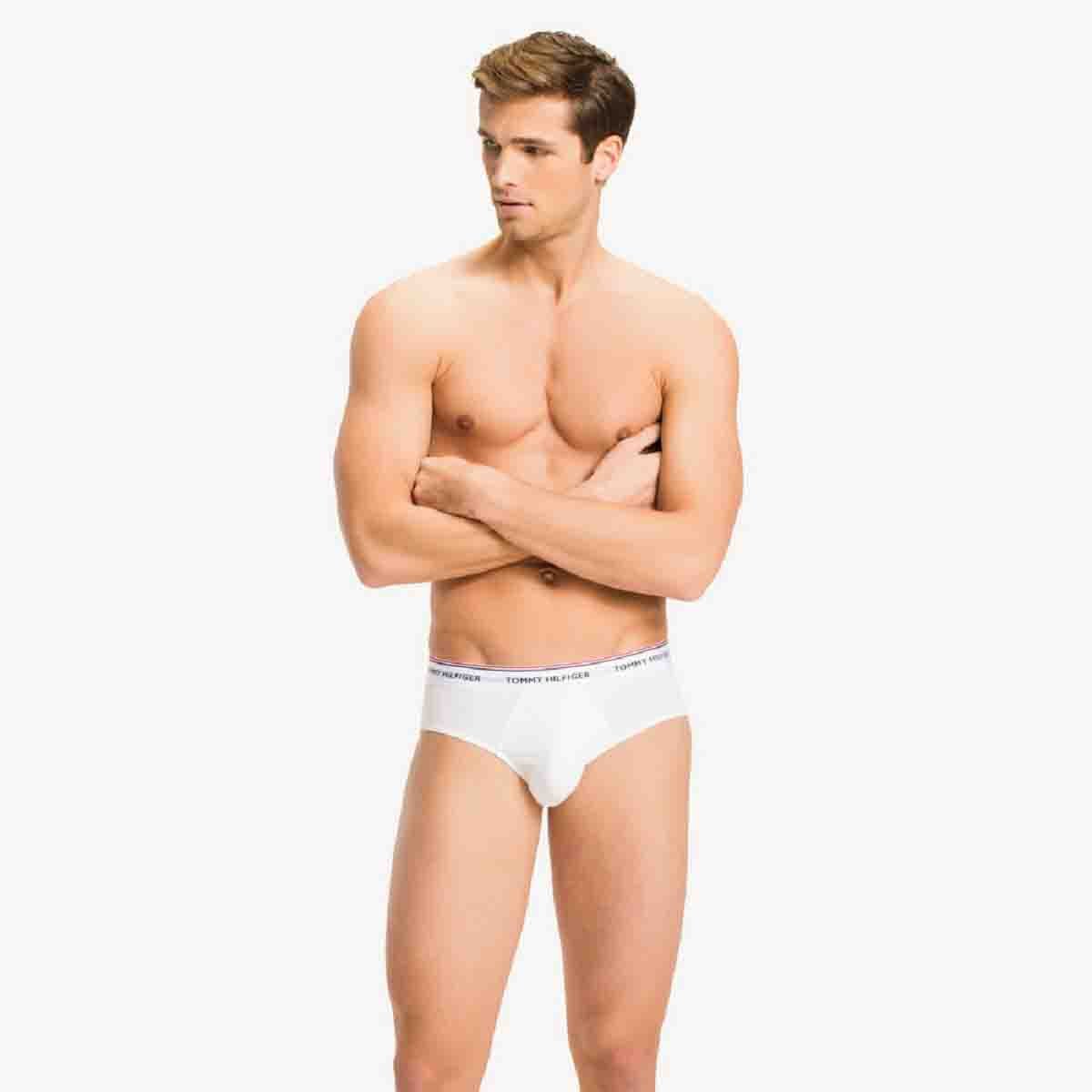 Trusa Brief 3Pack Tommy Hilfiger