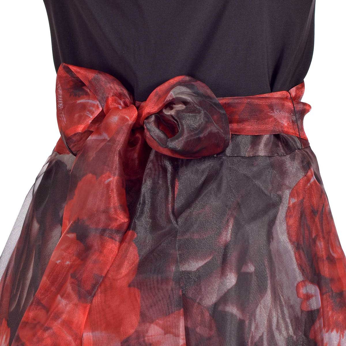 Vestido de Fiesta Largo Ampón Falda Organza Estampada