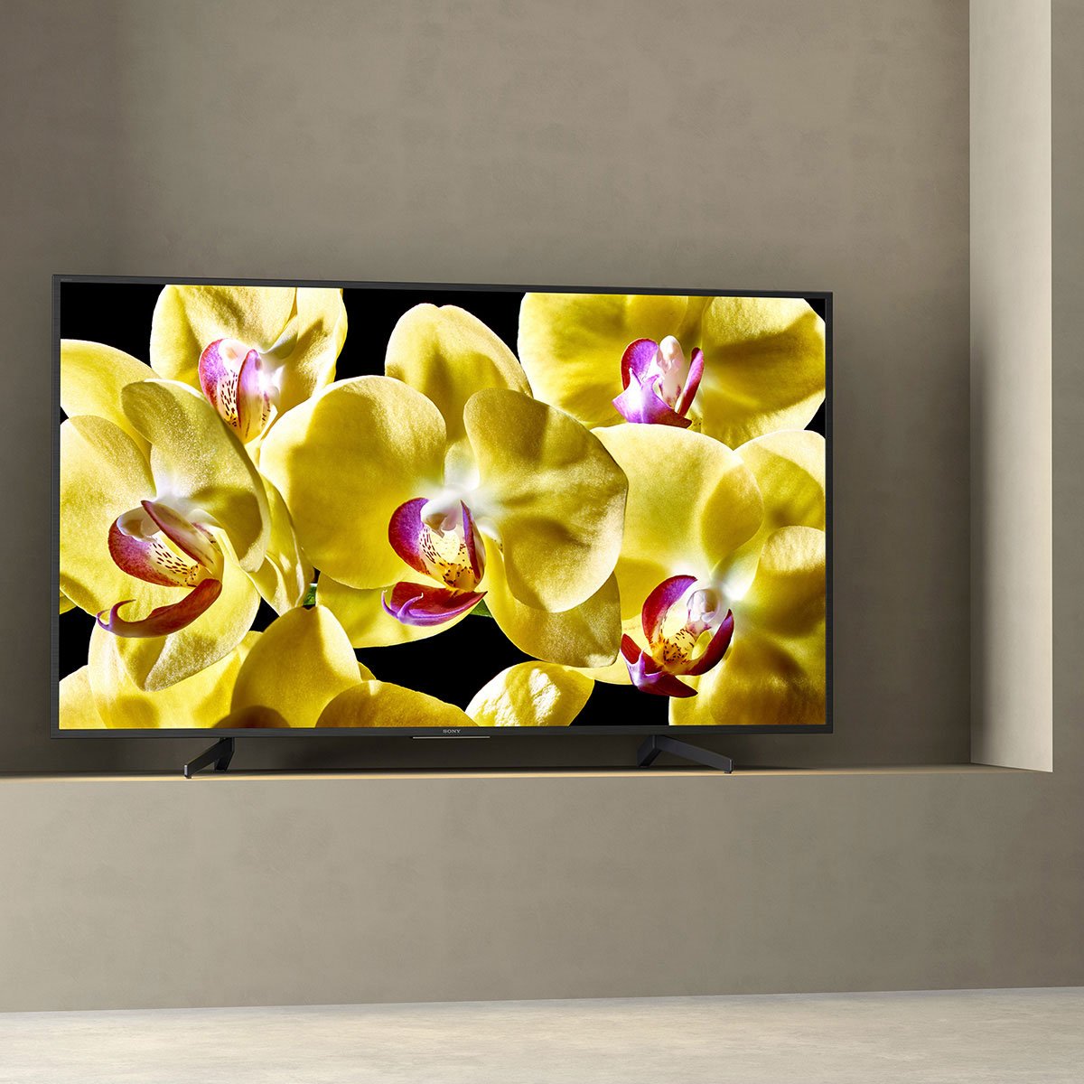 Pantalla 55" 4K Ultra Hd Android Tv Serie X800G Sony