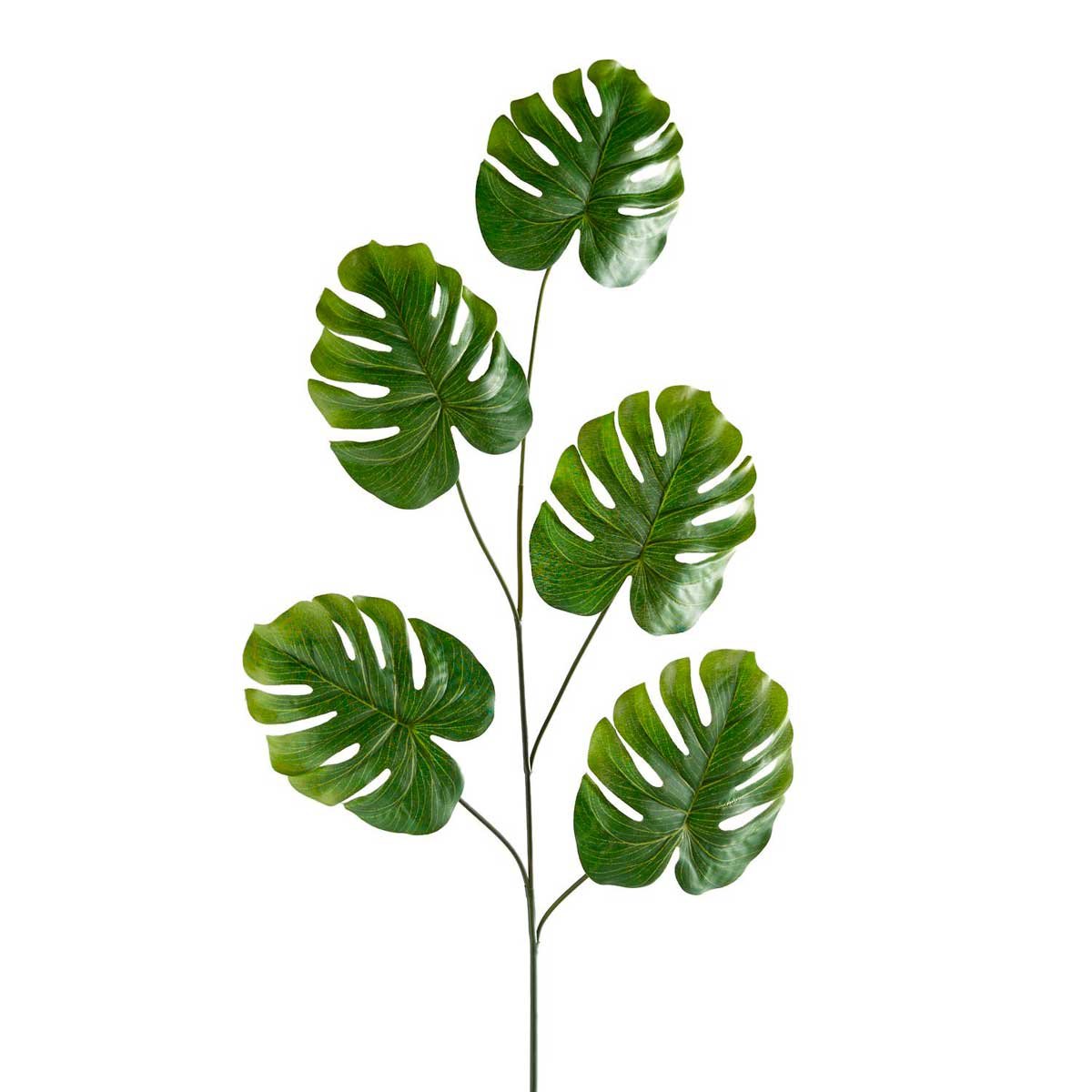 Tallo con Hojas Split Philo Green Pier 1 Imports