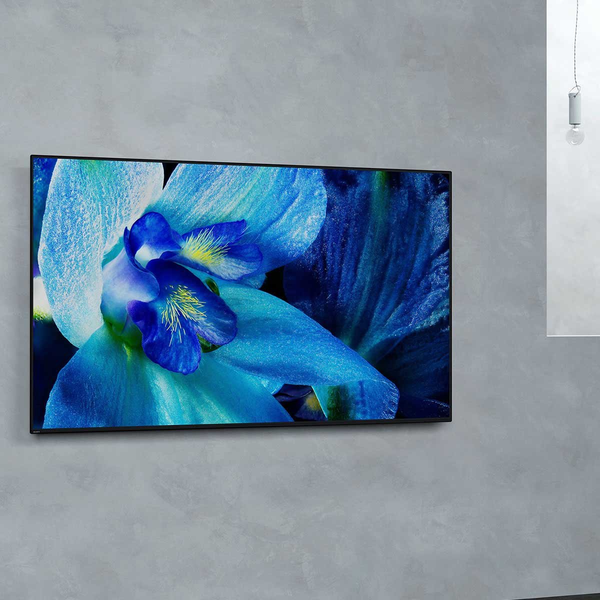 Pantalla 65" Oled 4K Ultra Hd Android Tv Serie A8G Sony