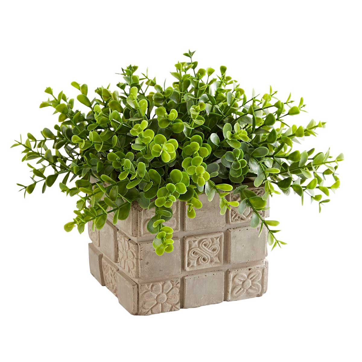 Arreglo Boxwd Flr Emboss Pt Pier 1 Imports
