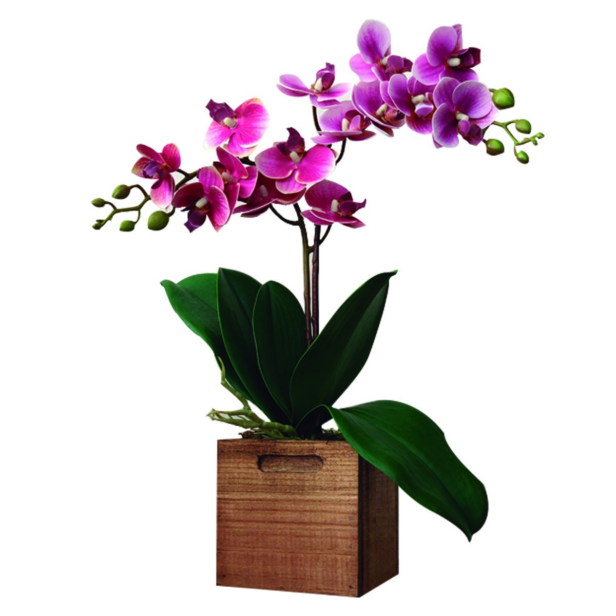 Mini Orquídeas Natural Touch Rosas en Cajón de Madera el Ático