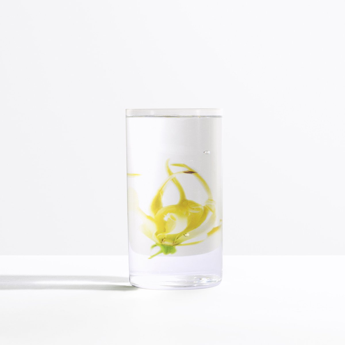 Fragancia para Mujer  Paco Rabanne Pure Xs Edp 80Ml