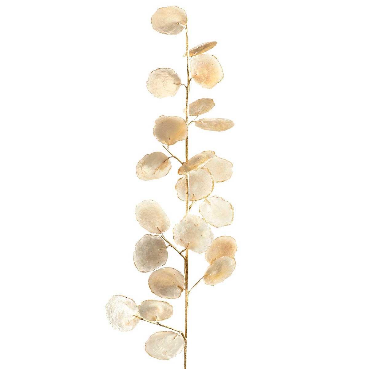 Vara Decorativa Capiz Pier 1 Imports