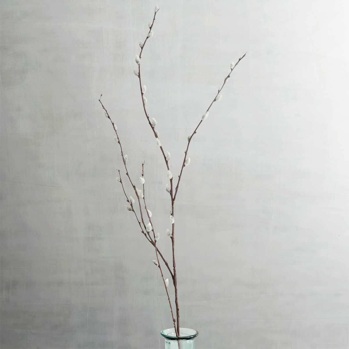 Vara Decorativa Pussy Willow Pier 1 Imports