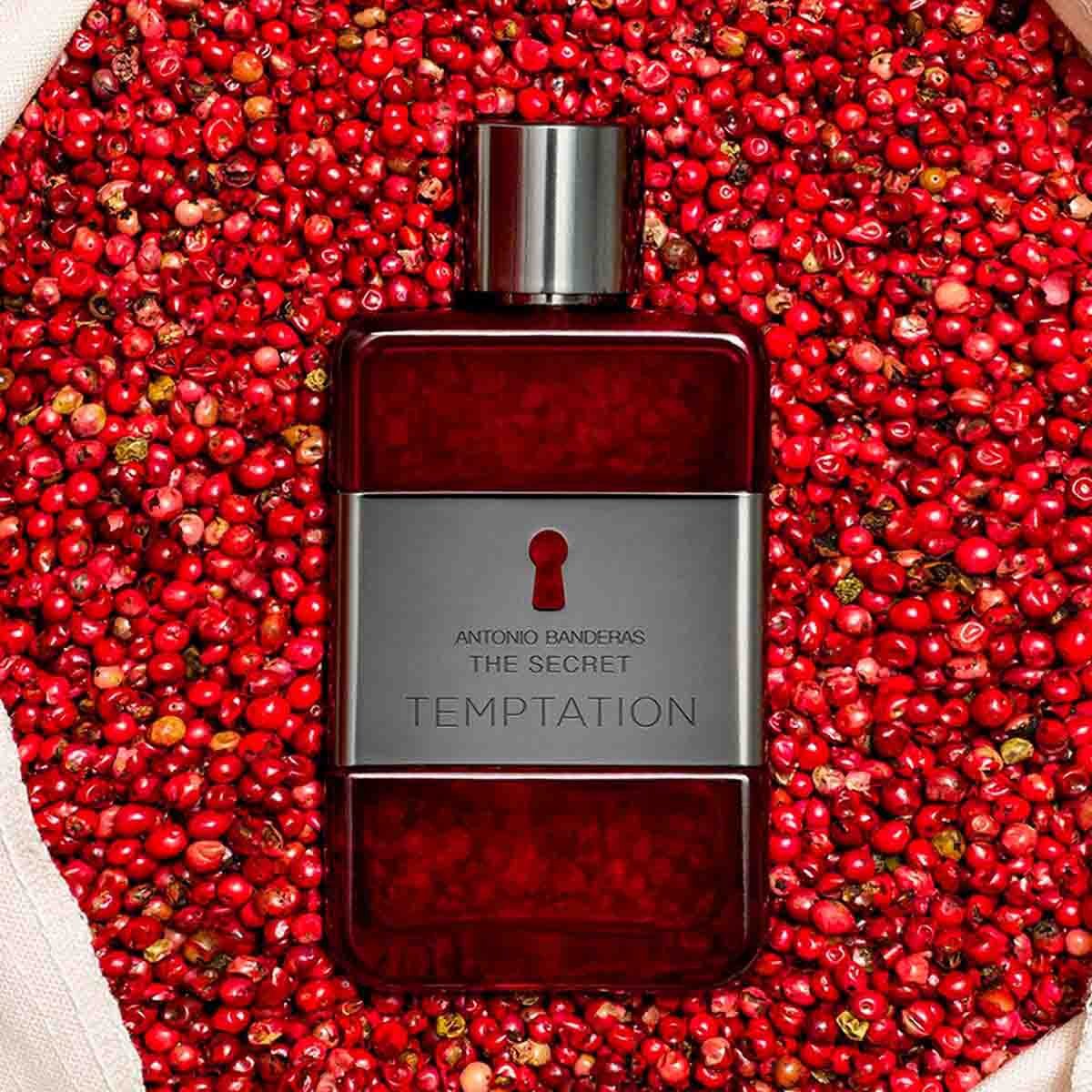 Estuche para Caballero Antonio Banderas The Secret Temptation Edt 100 Ml + After Shave 75 Ml