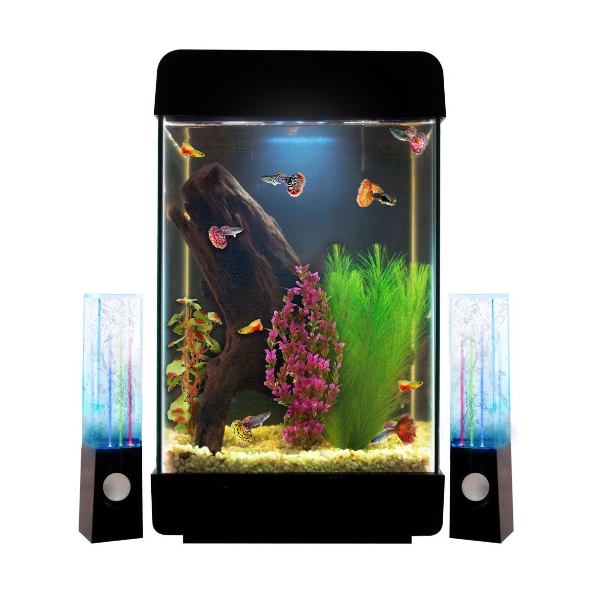 Kit de Acuario Jukebox de 5 Gl Acuario Lomas