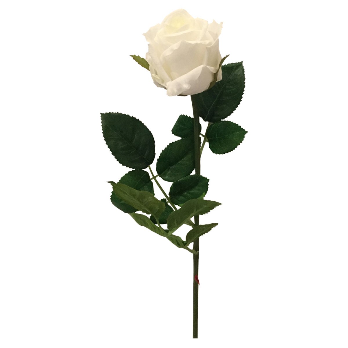 Botón Rosa Blanca Lottus